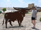 PICTURES/Texas Cows/t_P1000737.JPG